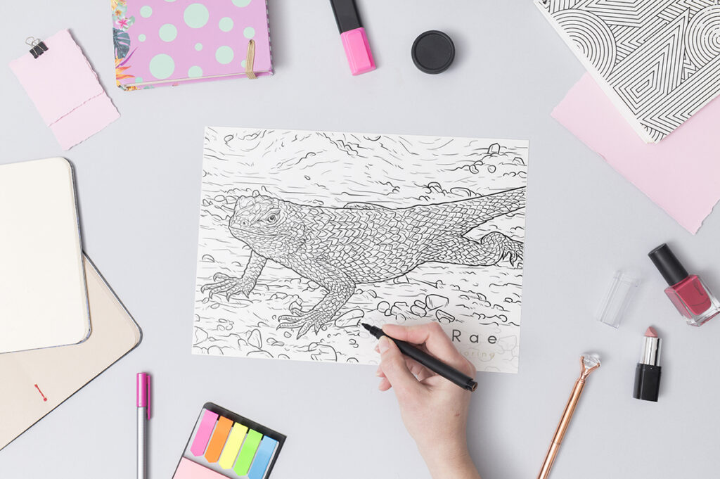 lizard coloring pages 02