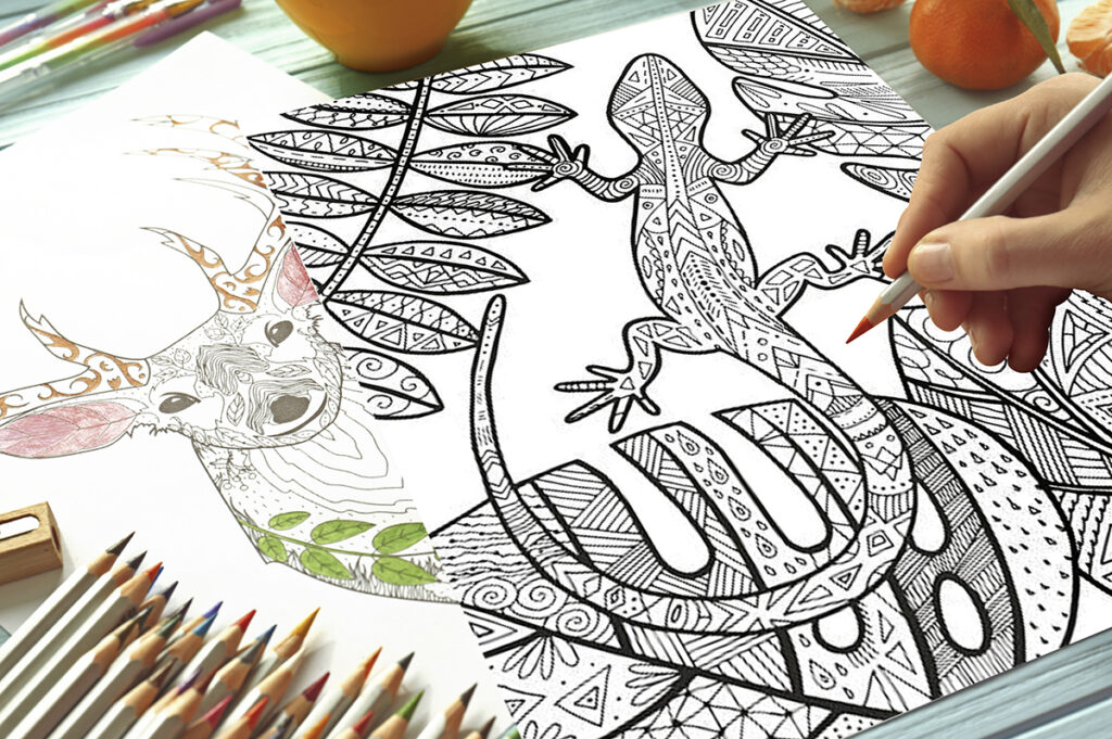 lizard coloring pages 04