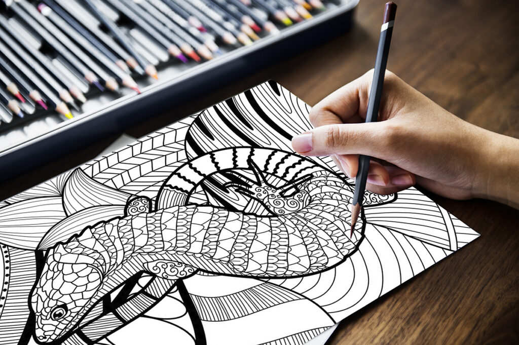 lizard coloring pages 06