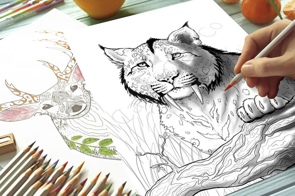 saber tooth tiger coloring page 02
