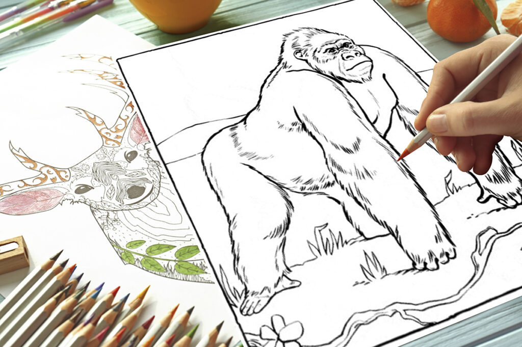 gorilla coloring page 02