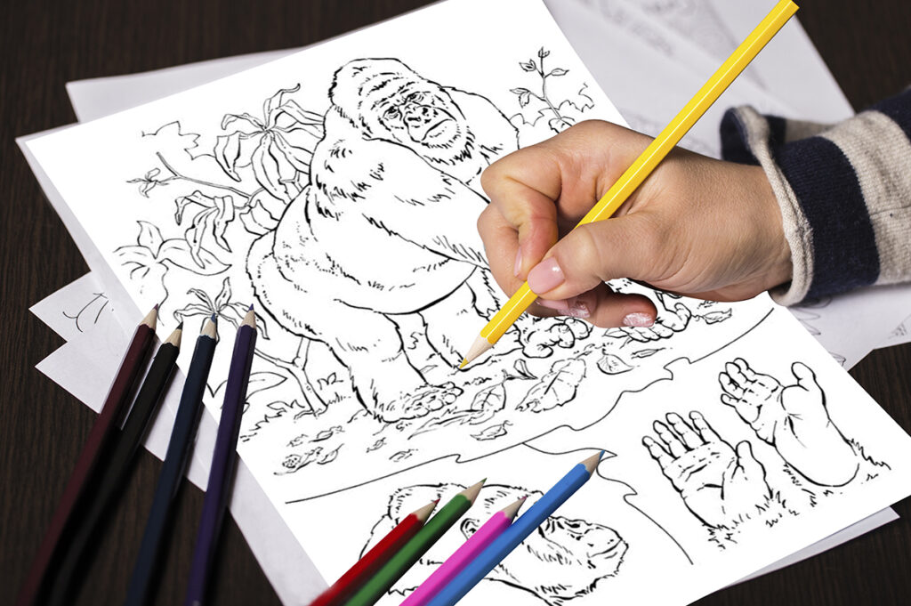 gorilla coloring page 10