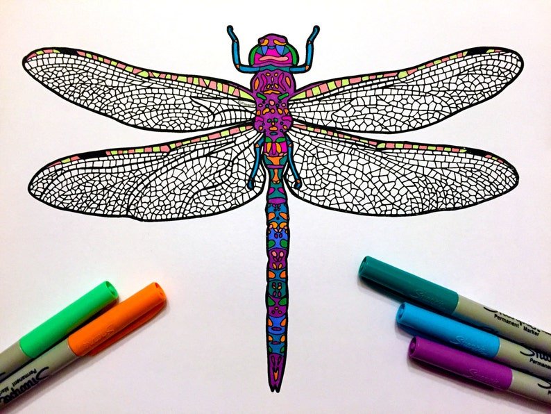 dragonfly coloring page 01