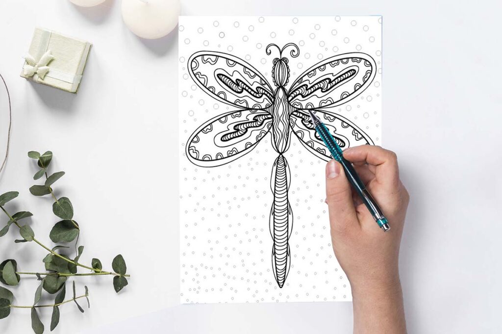 dragonfly coloring page 07