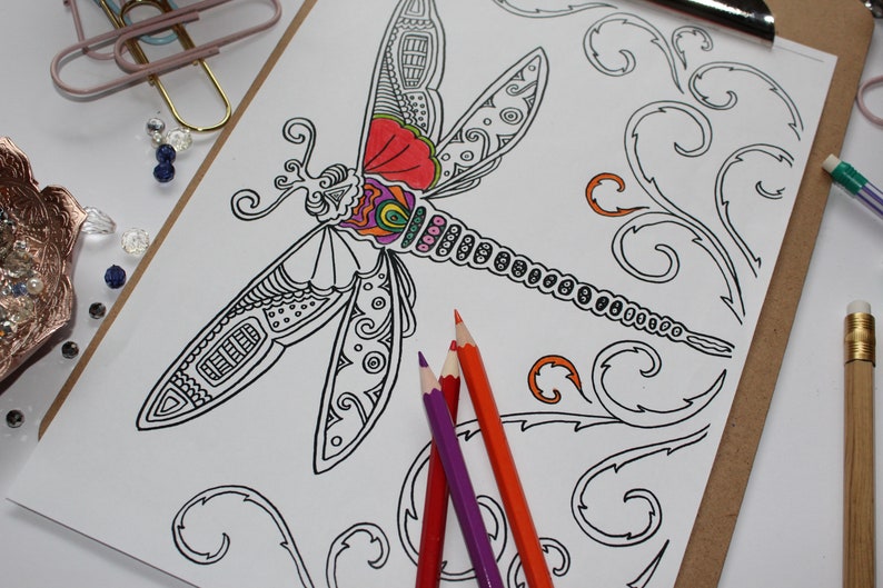 dragonfly coloring page 09