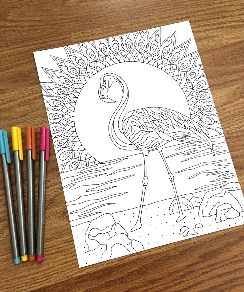 flamingo coloring pages 02