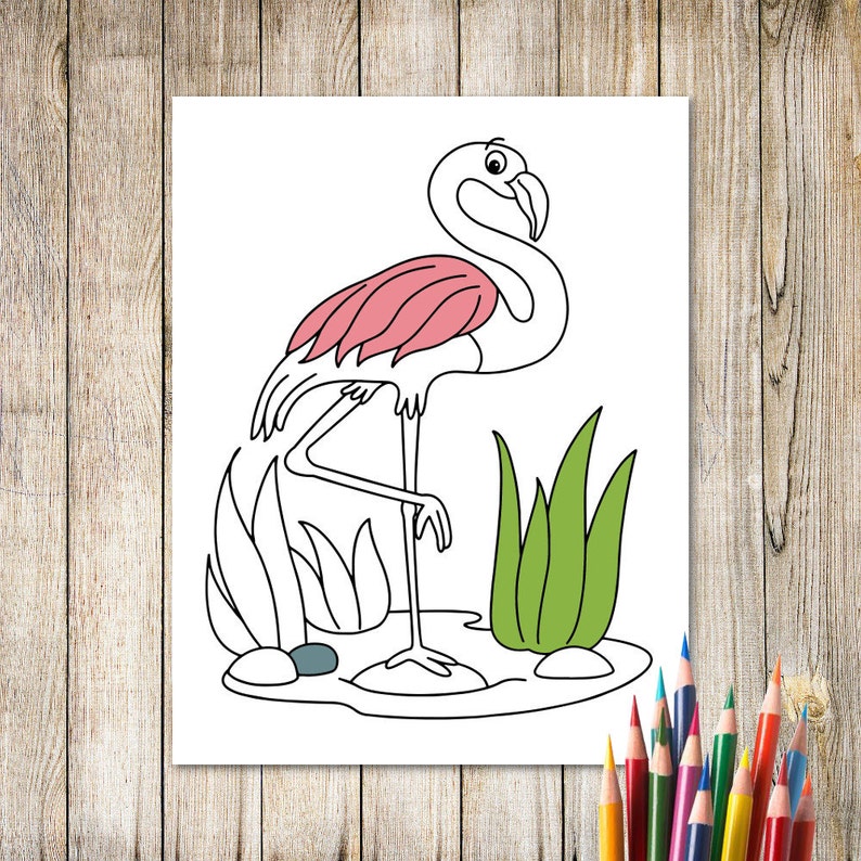 flamingo coloring pages 03