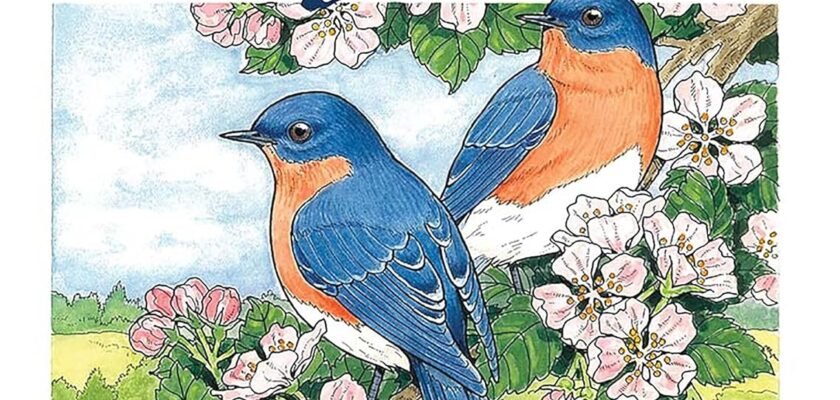 Coloring Outside the Lines: A Dive into the Beauty of Creative Haven's Glorious Songbirds
