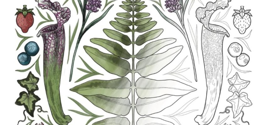 Unleashing Your Inner Botanist: A Colorful Journey through Nature's Wonders